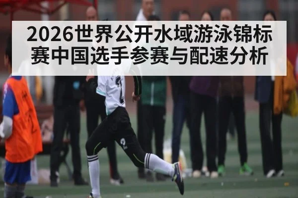 2026世界公开水域游泳锦标赛中国选手参赛与配速分析